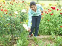 Indian woman models for bare bare shoot during her honeymoon