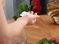 Encountered Art X starring Virgin Rosebud Pornography Pics