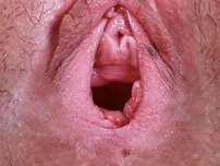 ATK Exotics Bare Images