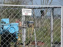 Youthfull Platinum Homeless Blonde